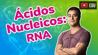 Ácidos Nucleicos - RNA - Compostos Orgânicos - Prof. Paulo Jubilut