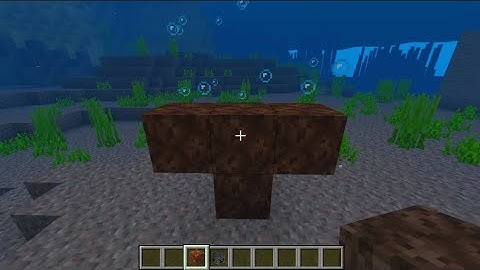 What If You Create a Wither in Water ?