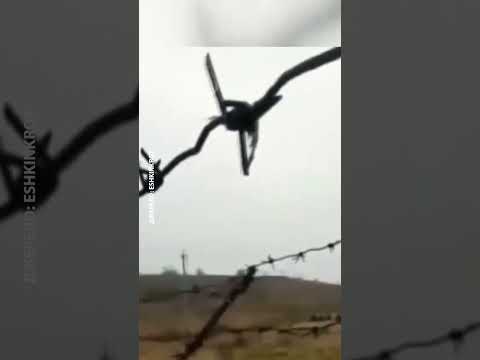 💥Корейці дали ДРАПАКА