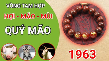 VÒNG TAM HỢP QUÝ NHÂN HỢI - MÃO - MÙI CHO NGƯỜI TUỔI QUÝ MÃO 1963