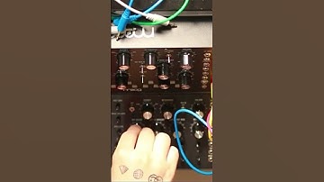 Moog Sound Studio (DFAM + M32)