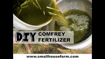DIY COMFREY Fertilizer.. The ultimate plant food!