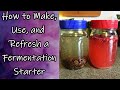 Fermentation starter  making using refreshing