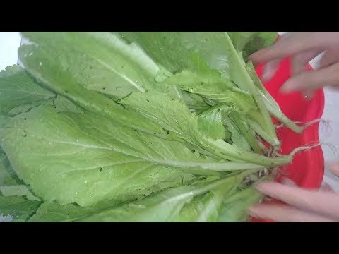 Video CANH RAU CẢI không cần thịt vẫn ngon ngọt. - youtube