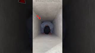 Cayó en el agujero de una casa abandonada 😮