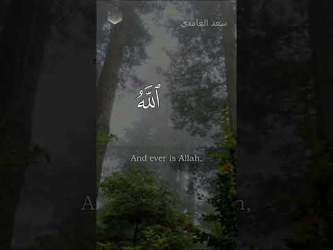 ماكان محمد ابا أحد من رجالكم سعد الغامدي  مترجم للغة الإنجليزية