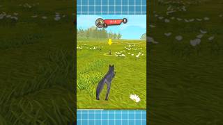 Top 3  Best Wild Animal Games  shorts short viral