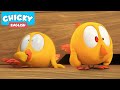 Where's Chicky? Funny Chicky 2021 | SWEET CHICKY | Chicky Cartoon in English for Kids