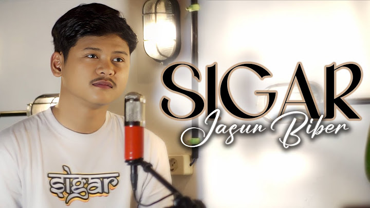 SIGAR - JASUN BIBER