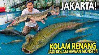 KOLAM RENANG BERUBAH JADI KOLAM HEWAN MONSTER JAKARTA! IKAN RAKSASA TERTUA DISINI! RAGUNAN ZOO 2026!