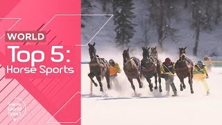 Horses in Sports! | Top 5 | Trans World Sport