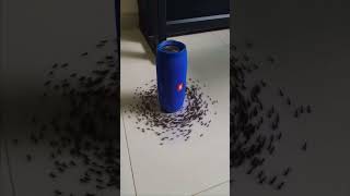 Ants Party 🐜 #Short #Dj #Memes #Shortsvideo #Shorts #Housemusic #Techhouse #Viral #Viralvideo  #Fyp