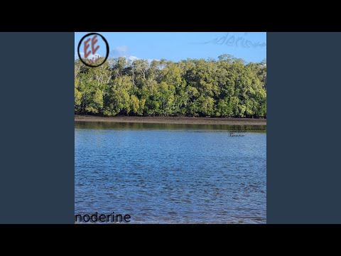 Ver noderine xi en YouTube