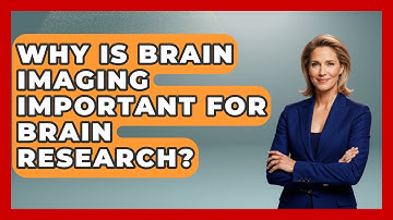 Why Is Brain Imaging Important For Brain Research? - Brain Development Hub