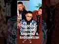 GOOD DAY DREEM / ANARCHY &amp; BADSAIKUSH