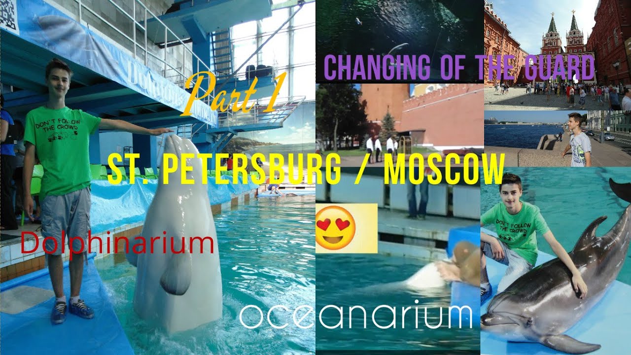 Dolphinarium in St. Petersburg: the sights of the northern capital 32 Dolphinarium in St. Petersburg: the sights of the northern capital 18