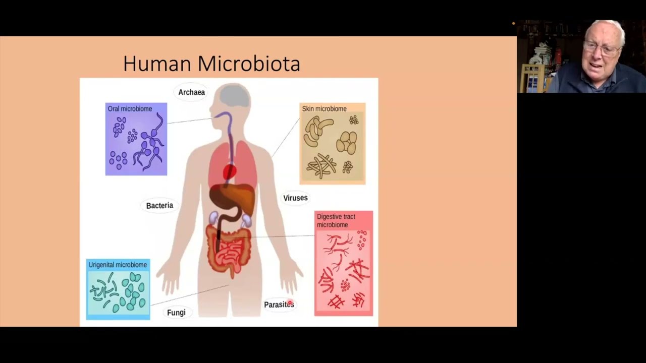 The Human Microbiome - The Invisible Us