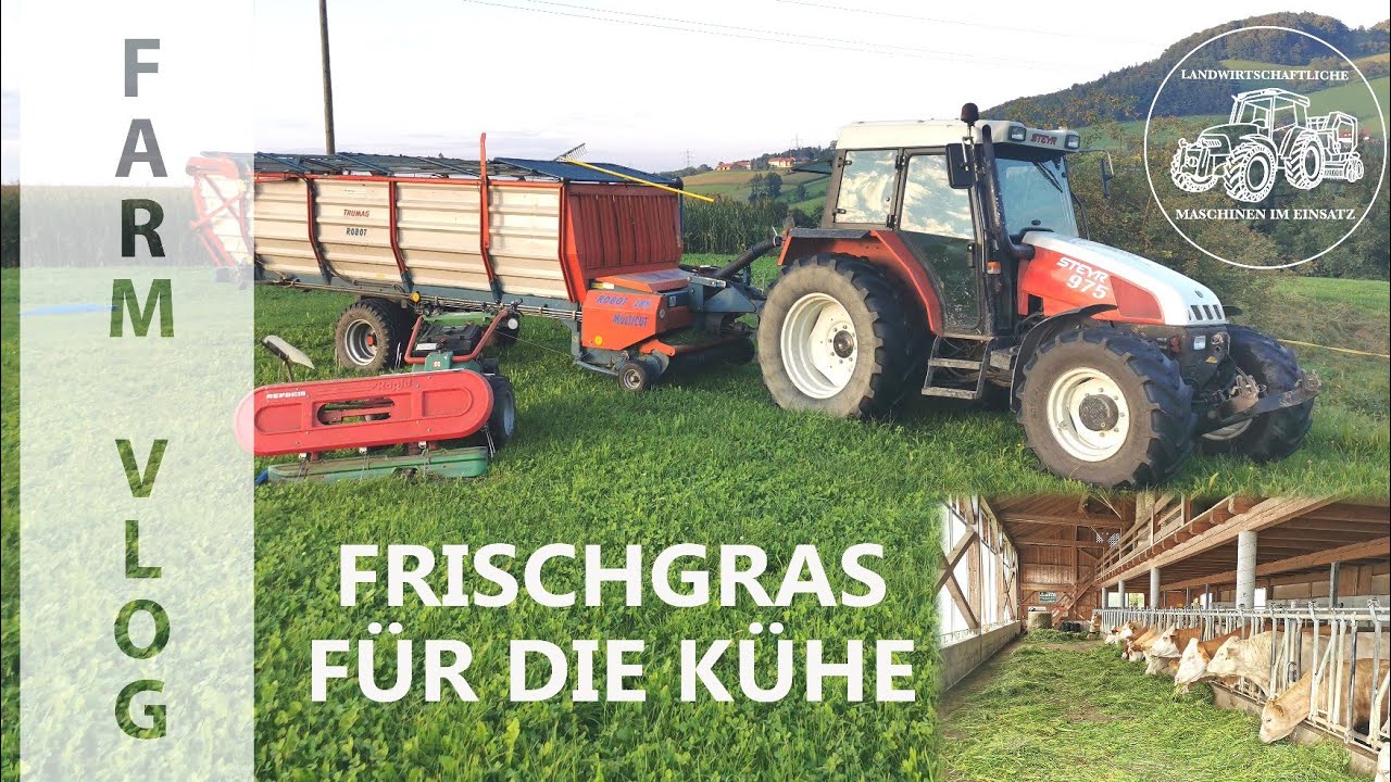 FarmVlog #8 | Grünfutter holen für die Kühe | Motormäher | Steyr 975 Traktor + Ladewagen | Eingrasen