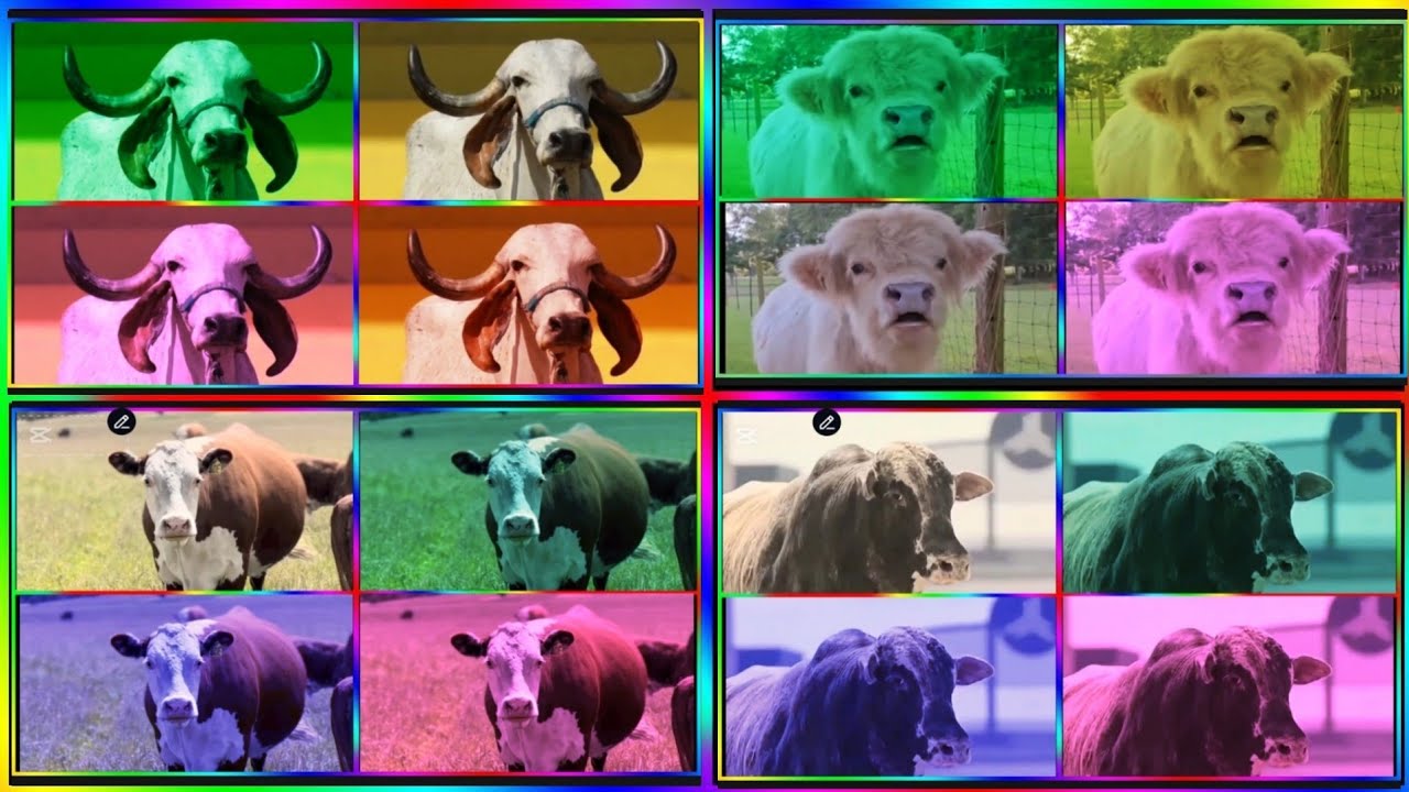 Веселые коровы против веселых буйволов против веселых быков против тайлс-хоп EDM Rush