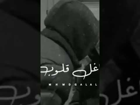عمرو دياب شاغل قلوب الناس وياك حالات