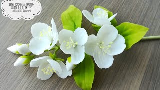 видео: Ветка жасмина из холодного фарфора. Мастер-класс по лепке. картинка: Ветка жасмина из холодного фарфора. Мастер-класс по лепке.