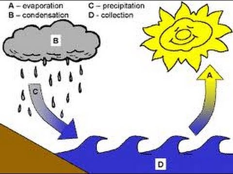 Water Cycle - Animation lesson for Kids -www.makemegenius.com