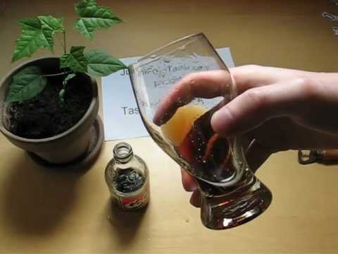 Springe Cola Youtube