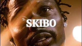 Asake x Zerrydl x Young John Type Beat | SKIBO | Street Amapiano x Afrobeat Instrumental 2025