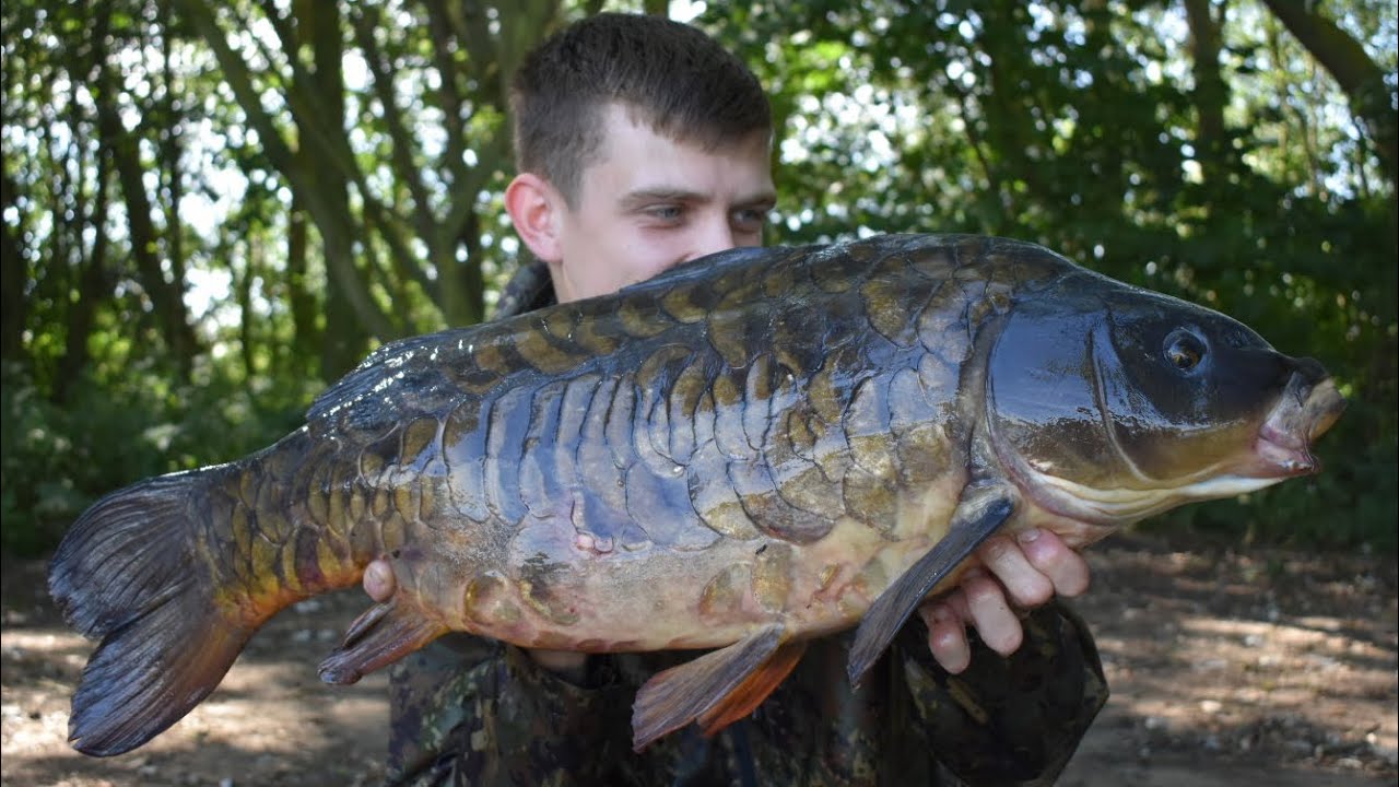 Carp Fishing Daiwa Manton. 6 Fish Hit! 3 PBS SMASHED!! YouTube