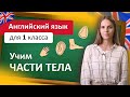 Английский язык для 1 класса. Учим части тела: nose, eye, face, hand, arm. Body parts.