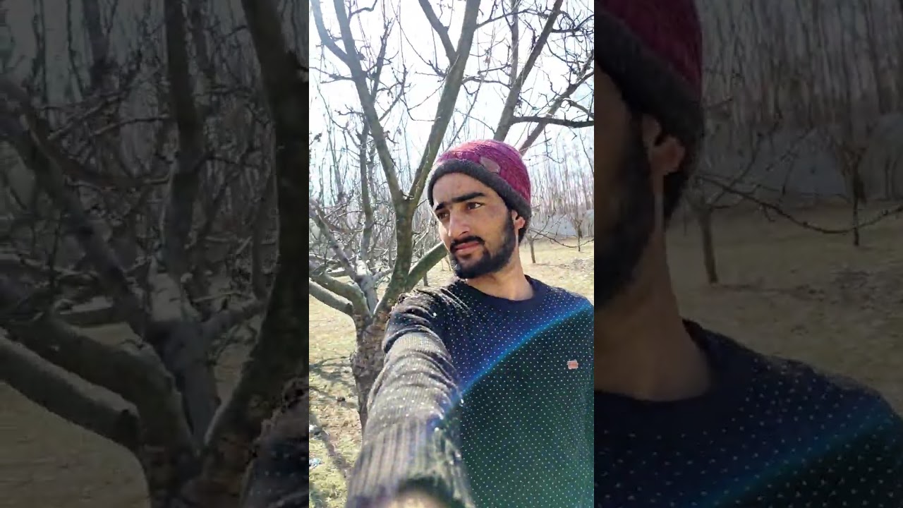 Challenge Accepted: Saving Apple Trees After 3 Years of Neglect!🍎​#ChallengeAccepted#Orchard#Pruning