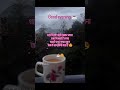#reels #viral #chai #love #viralvideo #reels #motivation #goodmorning #tea #tealover #shortvideo #so