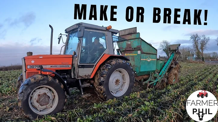 WILL IT WORK? -- HEDGE RESCUED BEET HARVESTER