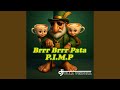 Brrr Brrr Pata P I M P Feat Dj Ulla Verona