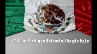 منحة حكومة المكسيك الممولة بالكامل 2024