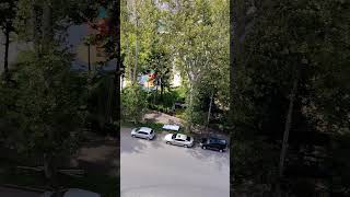 28 ივლისი, 2026