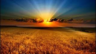 Everything will return & RightMusic | Ukrainian lands | 1 hour healing music