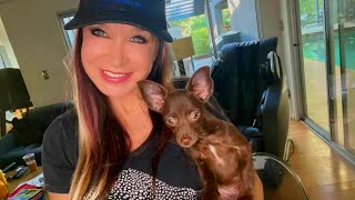 Cynthia Rothrock Fan Q & A