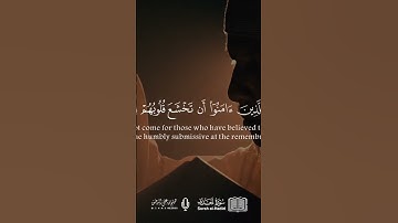 هيثم الدخين سورة الحديد