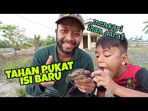 Video: Bagaimana Membuat Jaring Legap Buram? 40 Gambar Bagaimana Menutup Pagar Dari Jiran? Menjaring Jaring Penyamaran. Apa Yang Perlu Ditanam Di Sepanjang Pagar?