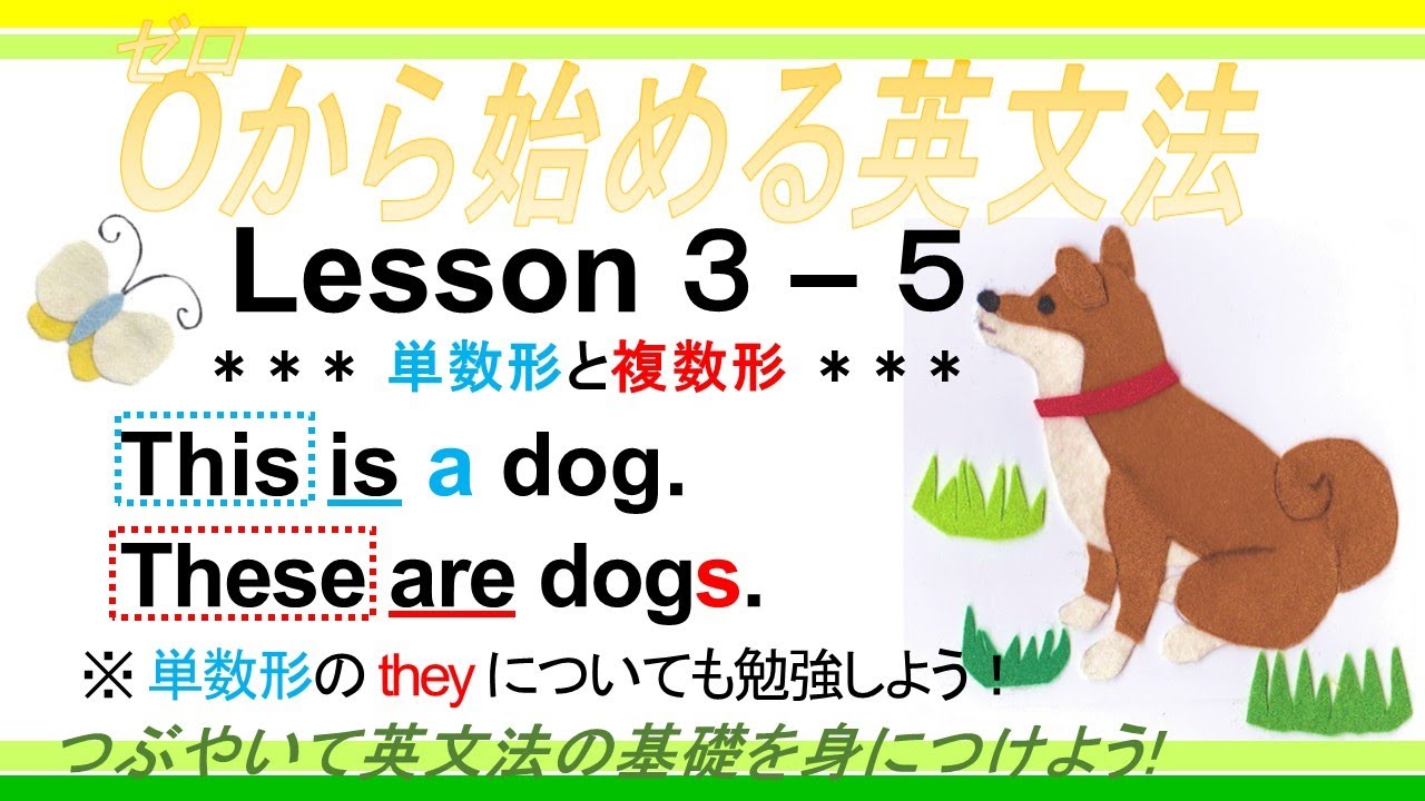 【0から始める英文法】Lesson3-5 単数形と複数形 / these, those, they, we『単数形の they』 - YouTube