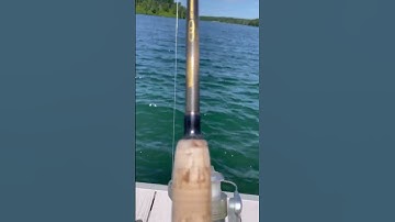 this was an old video i found on my camera roll