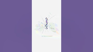 LEKSHA - Strekozant (Generative music made in Sonic Pi)