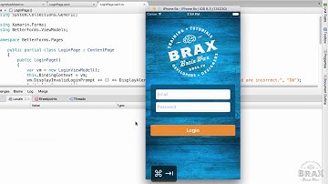 Xamarin Forms - Change Entry Focus