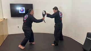 Week 7, Class #1 Online, Interactive Class for Tiny Tigers & Junior Beginners