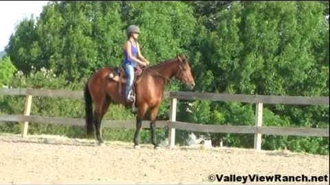 Valley View Ranch - WR Smart Texas -   ***For info, price, etc., go to our website***
