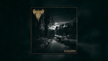 Oscillation of Void - In Night