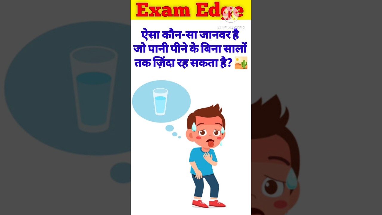 TOP 50 GK QUESTIONS 🧠🔥|Examedgegk 😎