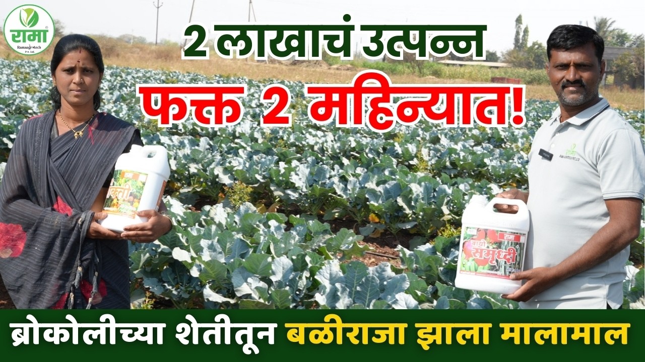 💰🥦 2 लाखाचं उत्पन्न फक्त 2 महिन्यात! ब्रोकोलीच्या शेतीतून बळीराजा झाला मालामाल 🔥🚜 #ramaagrotech