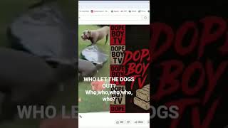 Tyrese Gibson’s dogs killed neighbor’s dog in Atlanta, police say | WSB-TV